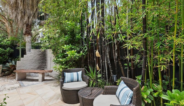 Zinc - a secluded paradise nestled in the heart of Narrabeen on the wonderful Northern Beaches. in Narrabeen