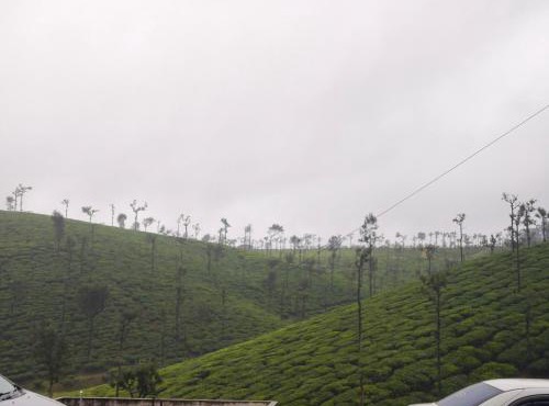 Valparai home stay